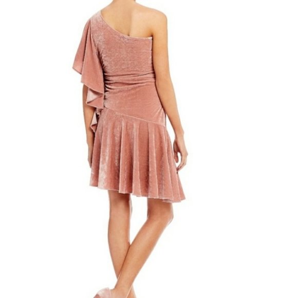 gianni bini velvet dress